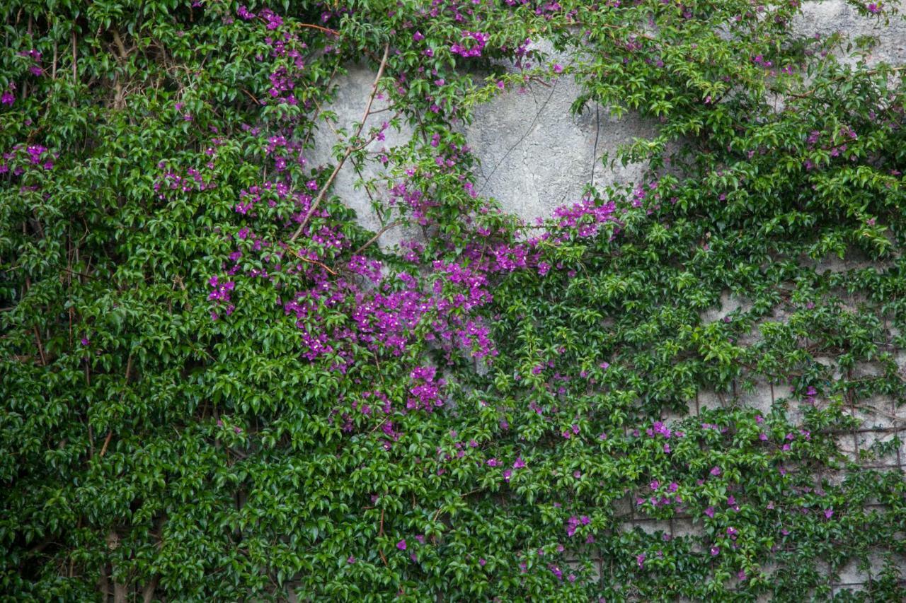 Abelardo'S Home Ribadesella Exteriér fotografie